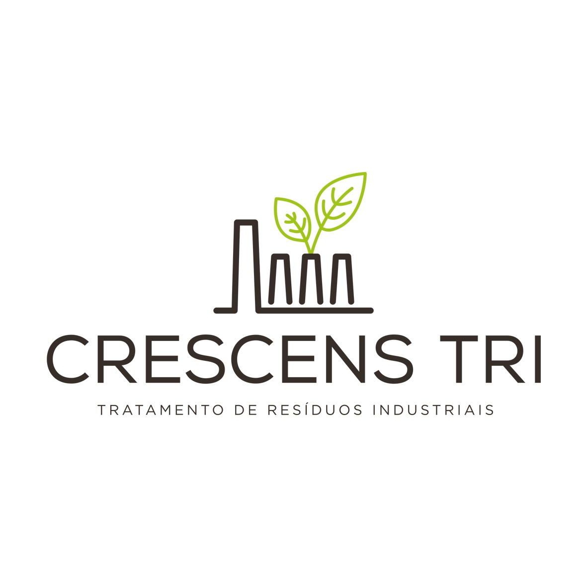 WhatsApp Image 2025-05-01 at 09.44.47